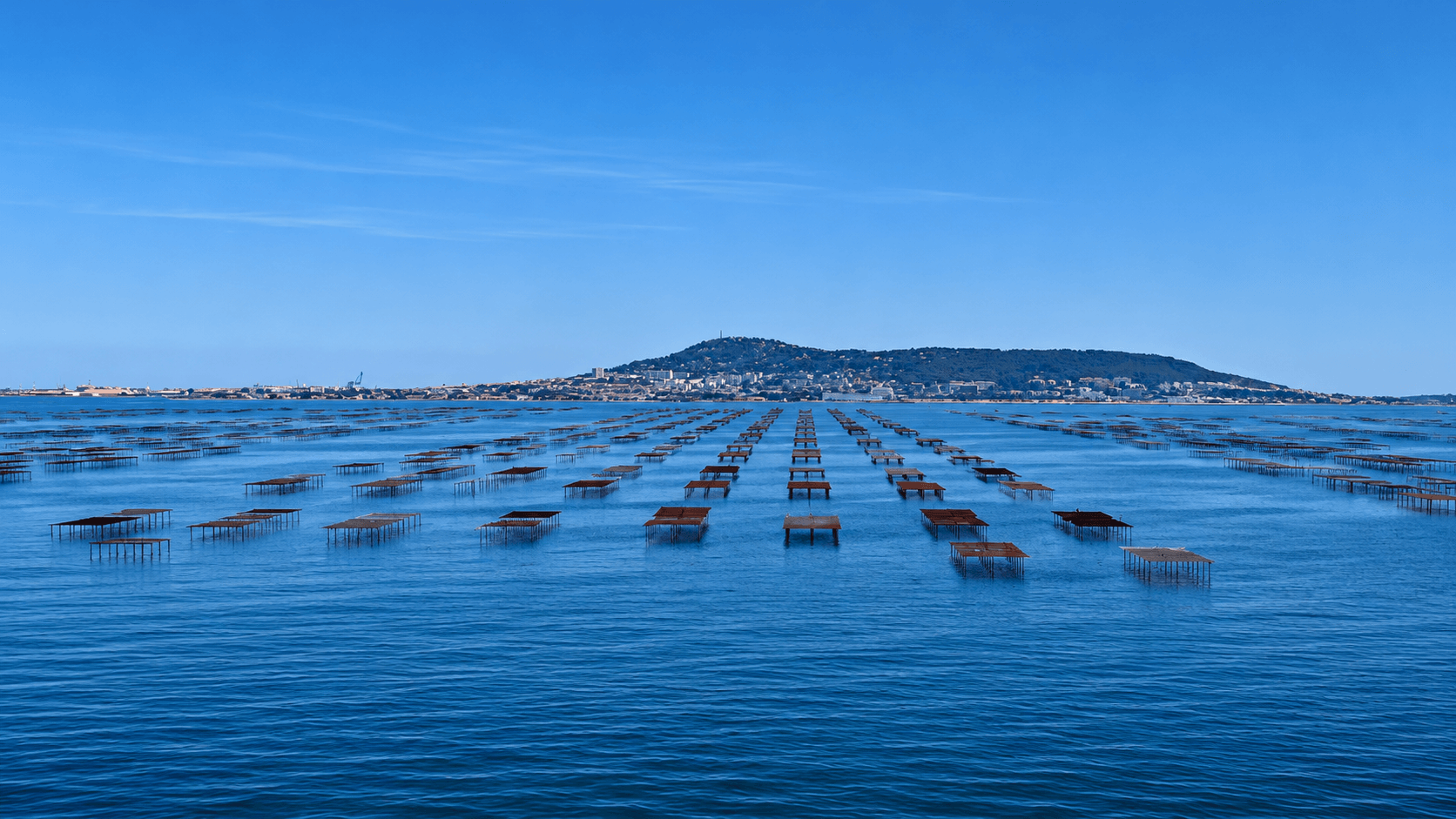 Préserver les milieux vivants par la réutilisation de l'eau