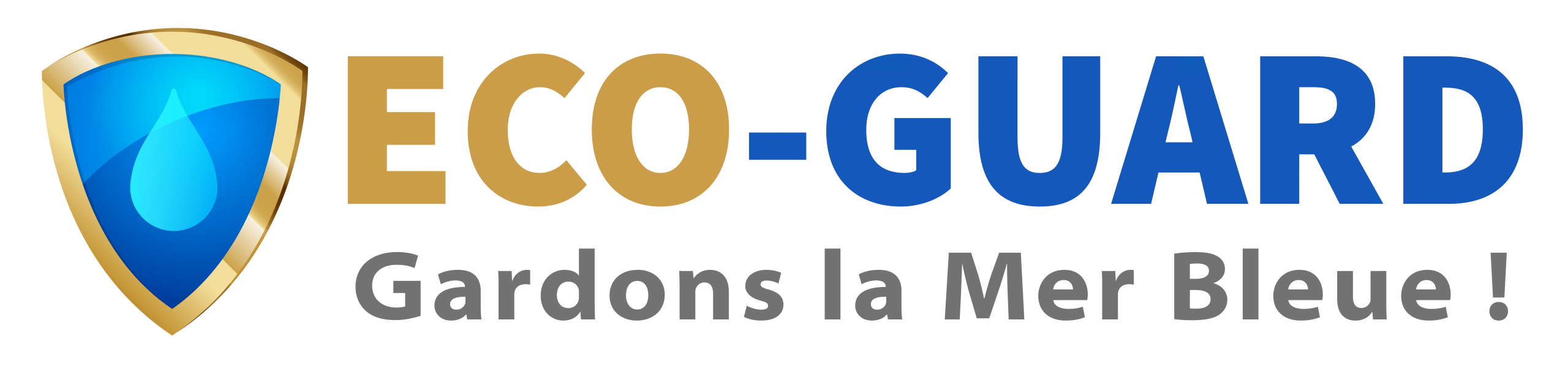 ECO-Guard® - Traitement et sécurisation des eaux à risque